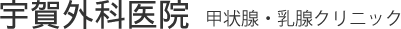 bizstrap logo